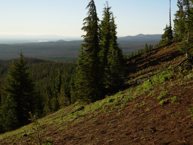 Summer '06 Sunriver II 018 